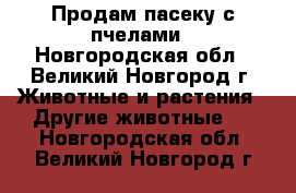 Продам пасеку с пчелами - Новгородская обл., Великий Новгород г. Животные и растения » Другие животные   . Новгородская обл.,Великий Новгород г.